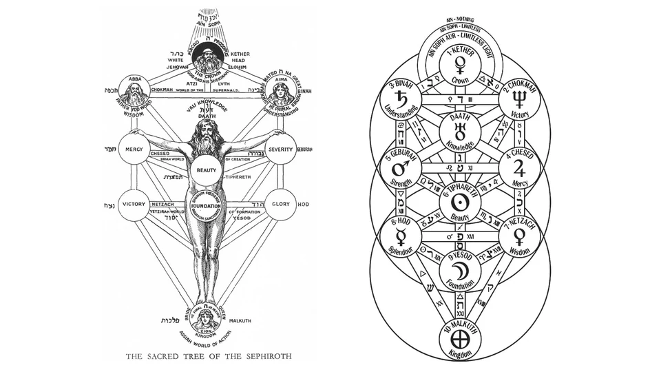 Tree of Life reference